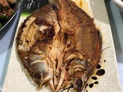 -石岐乳鸽村(南海第三分店)