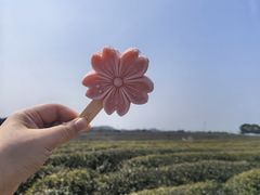 -凤凰沟景区