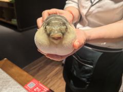 河豚宝宝-永安鱼庄·镇江菜(东吴路店)