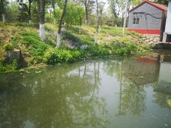 -东郊湿地公园
