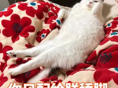-老大昌(淮海中路店)