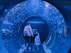 -成都浩海立方海洋公园