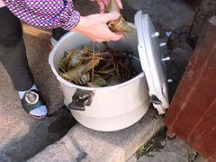 -司徒世家·兵马司林粽球(牌坊街店)