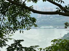 -铁山坪森林公园