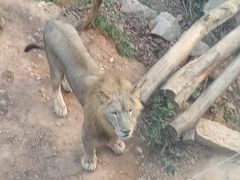 -泉州海丝野生动物世界