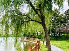 -黄兴公园