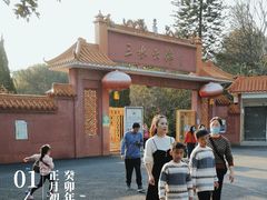 -三水森林公园