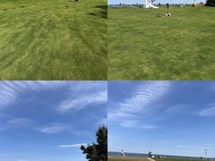 -日照海滨国家森林公园