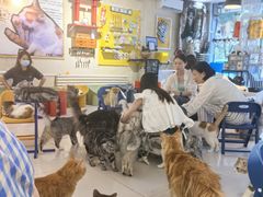 -平行世界·猫咖(首经贸店)