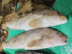 -木柴豆腐·活海鲜·鲁菜