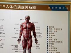 -通透堂中医·精准推拿(旗舰店)
