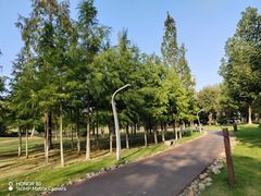 -滨湖塘西河公园