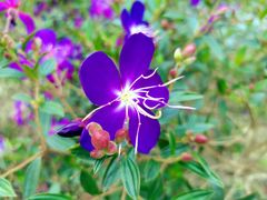 -南国桃园旅游度假区