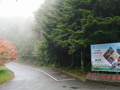 -四明山国家森林公园