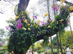 -人民公园(罗湖区)