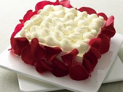 -壹点壹客·生日蛋糕(南山店)