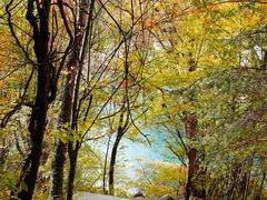 -叠溪松坪沟景区