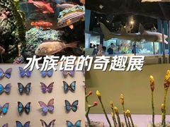 -天津自然博物馆