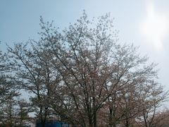 -绍兴启迪乔波冰雪世界