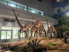 -自贡恐龙博物馆