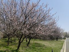 -同里国家湿地公园
