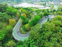 -飞凤山奥体公园