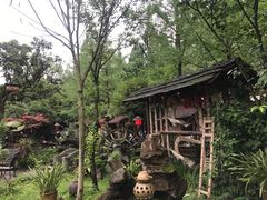 -青城甲(青城山店)