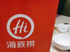 -海底捞火锅(吾悦国际广场店)