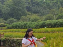 -龙头寺公园