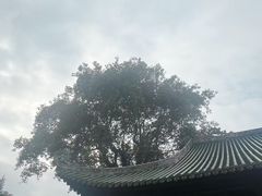 -南华禅寺
