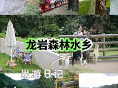 -龙岩森林水乡景区