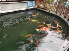 -华庭苑农家乐(旺山店)