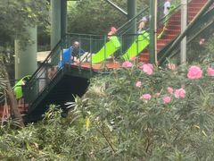 -上海玛雅海滩水公园