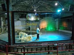 -清迈夜间动物园