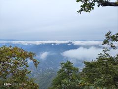 -塔云山