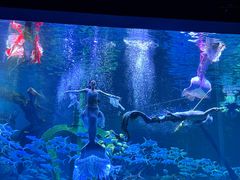 -波塞冬旅游度假区