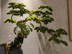 -东吴水韵(吴中店)