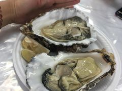 生蠔-垦丁辉哥生鱼片