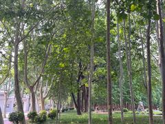 -达活泉公园