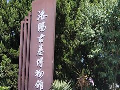 -洛阳古墓博物馆