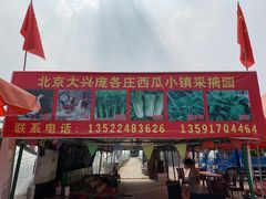 -西瓜小镇