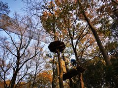 -WeLope紫金山探险公园