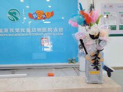 -瑞派宠物医院·内科·软组织·绝育中心(沈阳八纬路分院)