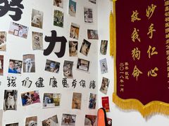 -宠福鑫动物医院(城北分院)
