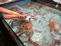 -尚海豆捞(乐虹坊店)