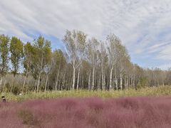 -东郊湿地公园