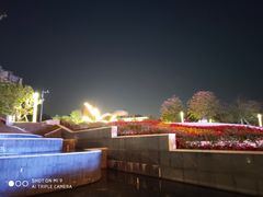 -锦粤宫·精致粤菜(深圳北站店)