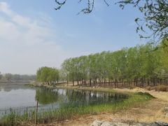 -马家湾湿地公园