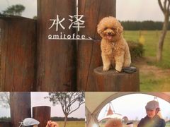 -omitofee咖啡(水泽店)