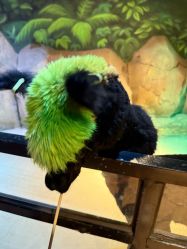 -酷嗒动物文化乐园(cutezoo西溪乐天城店)